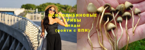 ПСИЛОЦИБИНОВЫЕ ГРИБЫ Алексеевка