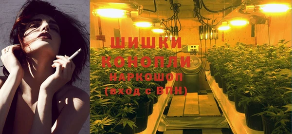 ПСИЛОЦИБИНОВЫЕ ГРИБЫ Алексеевка
