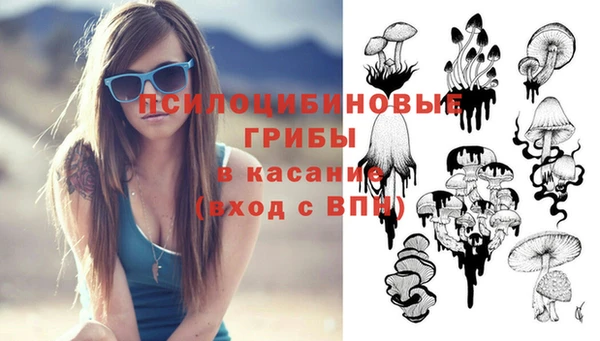 амф Алзамай