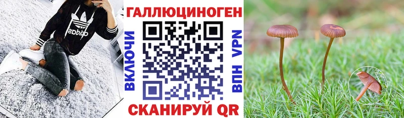 Псилоцибиновые грибы мицелий mega ССЫЛКА Владимир