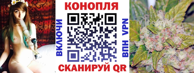 Бошки Шишки тримм  Владимир 